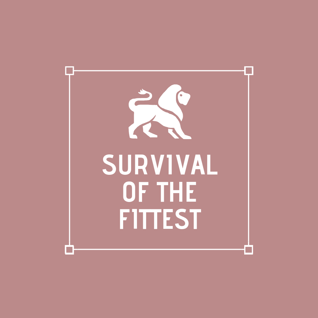 Survival of the fittest is not about the meanest