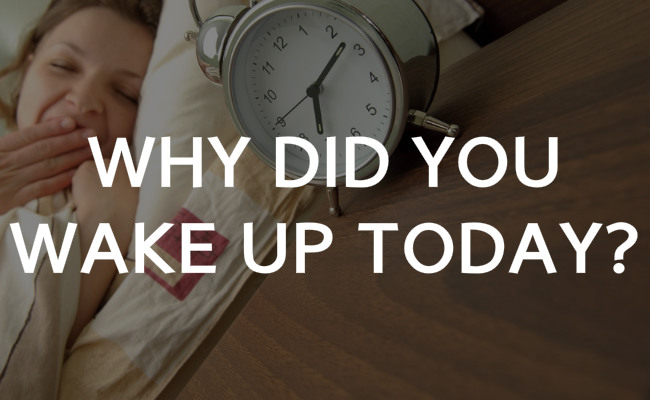 Why did you wake up today? 4 motives that drive our lives